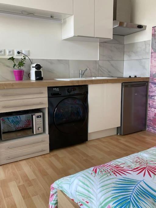 Apartament Le Cosy Tassin - Rez De Jardin Zewnętrze zdjęcie